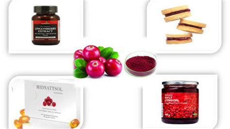 Lingonberry Extract - Creative Enzymes