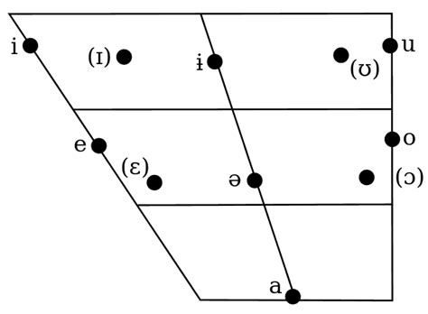 Lingua amarica - Wikipedia