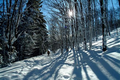 Link Trail Cazenovia, NY 13035 - I Love New York