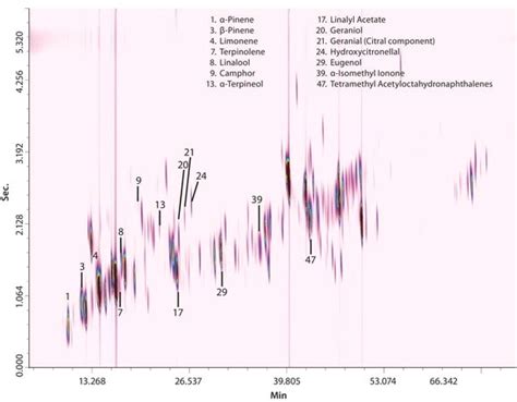 Linkage in the role of Strategy: This GCC’s Non-Polar Method in regards to Stability.