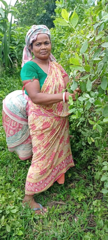 Linking Environmental and Feminine Equality: Lessons from Bengal