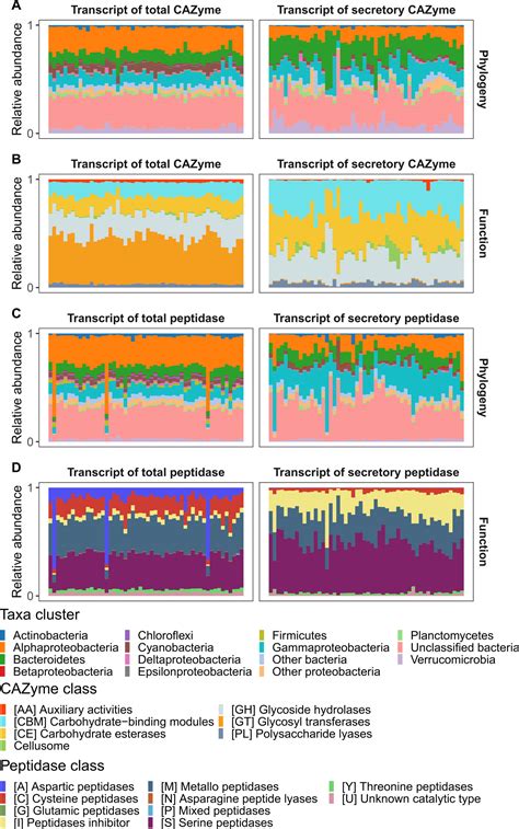 Linking extracellular enzymes to phylogeny indicates a