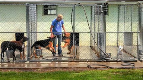 Give your Dog some TLC at Linsmoor Kennels. Dog Grooming service in Maryville. Linsmoor Boarding and Grooming. Dog Boarding, Dog Day Care and Dog Grooming. License # 0465531/21914 (865) 982-5408 ... the fully certified team at Linsmoor Boarding and Grooming possess all the skill and knowhow necessary to ensure that your canine companion can .... 