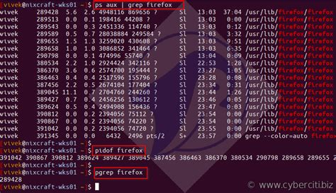 Linux / UNIX: Find out or determine if process PID is running