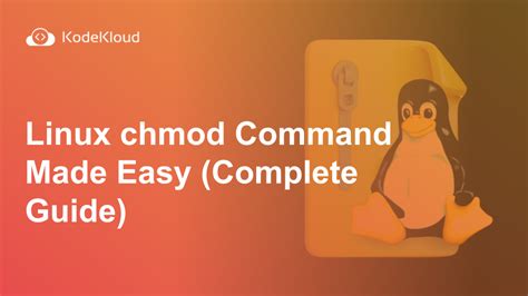 Linux Chmod Tips