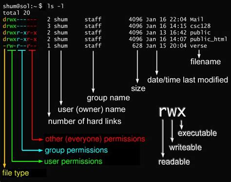 Linux Chmod To Allow Read And Write Permissions For Directory Super User