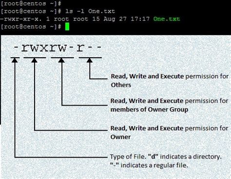 Linux File Permission Javatpoint