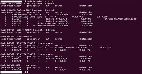Linux bridge iptables.  See daemon configuration. In this guide, we wil...