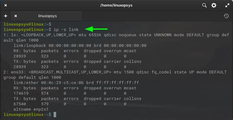 Linux command show ip