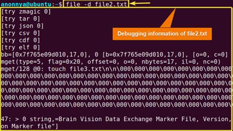Linux fel.  The 'file' command in Linux is a vital utility for determinin...