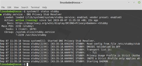 Linux mint show dns server