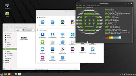 Linux mint show version