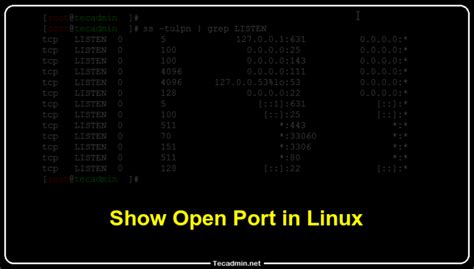 Linux show ports open