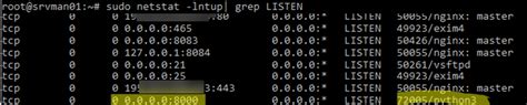 Linux show process listening on port