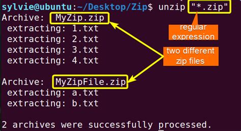 Linux unzip to directory overwrite. zip -d /home/user/extracted_files Backing ...