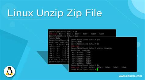 Linux unzip to folder. log this will How to Unzip a File in Linux With ...