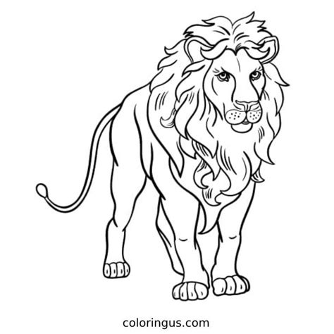 Passport Coloring