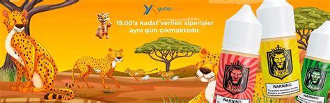 veodersti.rgarabwor.edu.pl. 