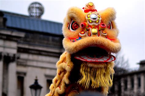 Lion dance ( Simplified Chinese: 舞狮; Traditional Chinese: 舞獅; pinyin: wǔshī) is a form of traditional dance in Chinese culture, in which performers in a colorful, articulate lion costume create a ritualized and stylized dance for entertainment and spiritual purposes.