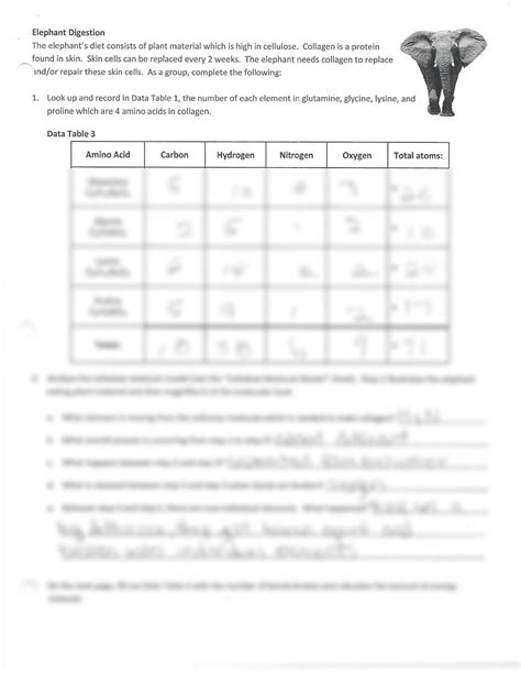 Lion vs elephant digestion lab answers.  Elephant Digestion Lab Every an...