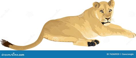 Lioness drawing cartoon.  Vector cartoon illustration in flat icon style Hand-drawn predators ...