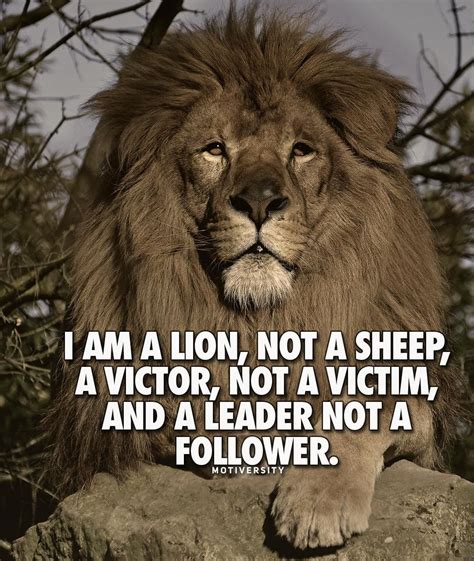 Lions not sheep meaning. Jul 4, 2022 ... The story is not about a sheep trying to become a lion. The lion is simply awakening to its true nature. Similarly, you don't have to become ... 