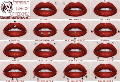 Lip Piercing Diagram