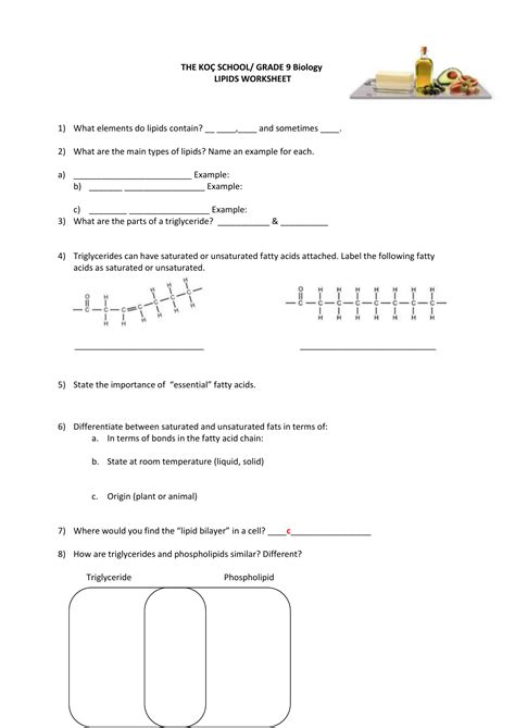 Lipid Practice Worksheet PDF Worksheets Library