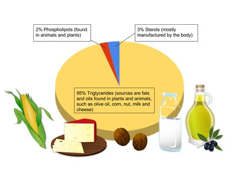 Lipid Types and Structures Nutrition Science and Everyday Application