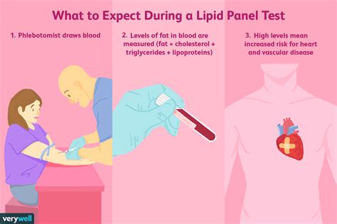 Lipid panel Procedure and what to expect 