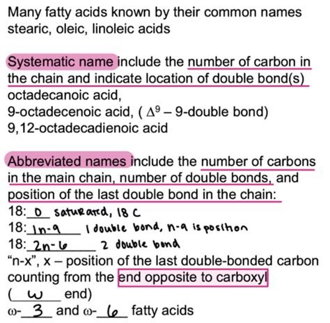 Lipids Part 1 Flashcards Quizlet