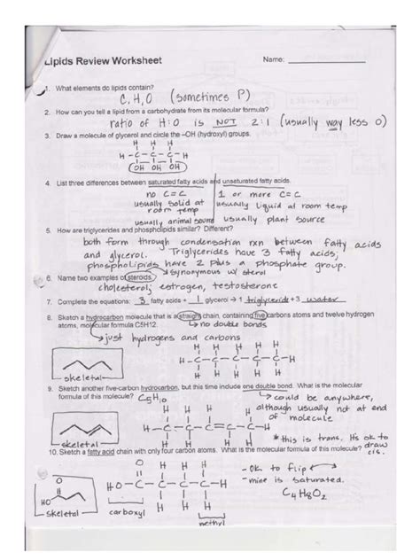 Lipids Sheet Answer