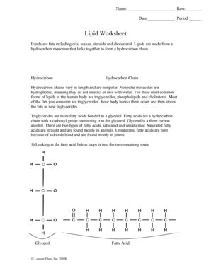Lipids Worksheet Answer Key Worksheet Answers