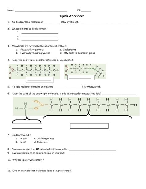 Lipids Worksheet PDF