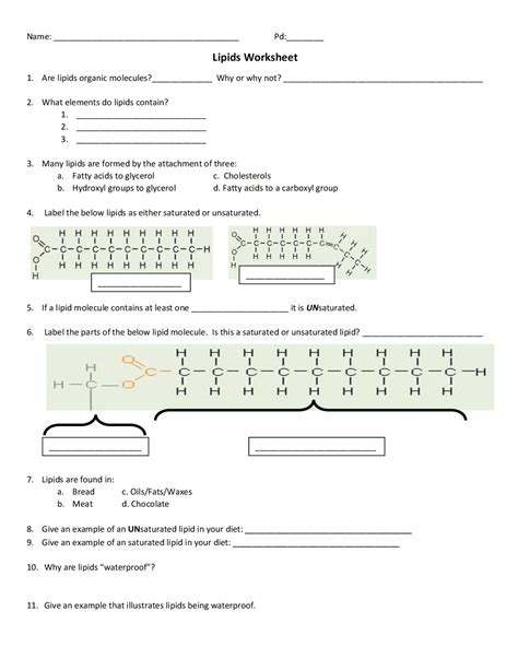 Lipids Worksheet Review Questions Exercises Biology Docsity