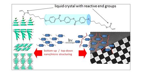 Liquid Crystal Polymers: From Structures to Applications