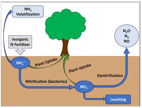 Liquid nitrogen fertilizer for vegetables.  These forces allow the particles to move a...