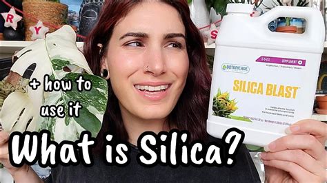 Liquid silica for plants.  This guide highlights five well-regarded silica This article explores...