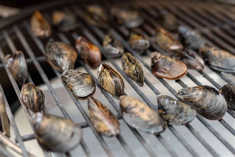 Lisa Daily Life - Lisa Shows How To Make Grill Mussels In the Shell ...