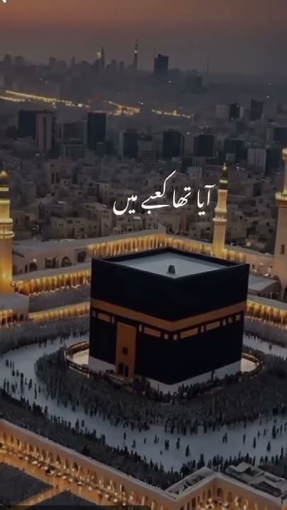 Lisalti Halı ve Koltuk Yıkama