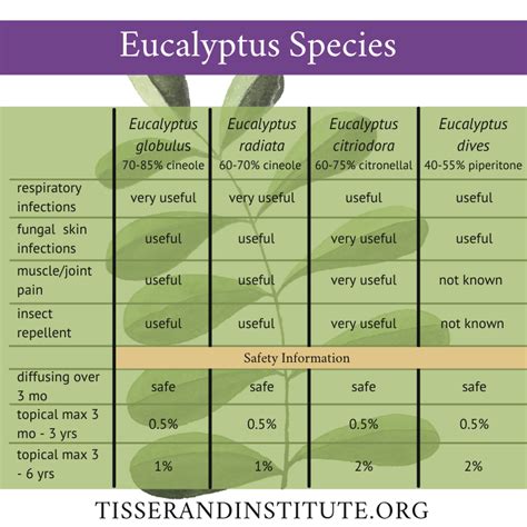 List of Eucalyptus species - Wikipedia