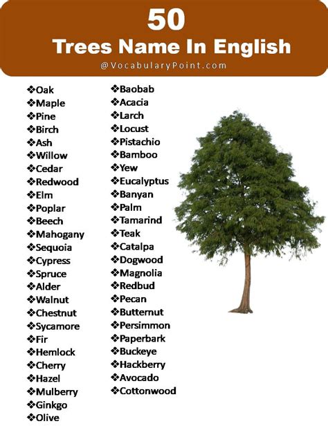 List of Tree Names in 2023 How to identify trees, Dogwood trees, Tree