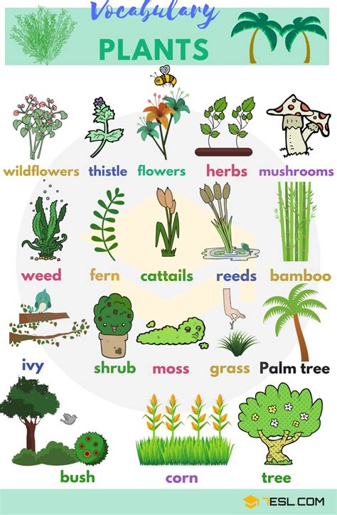 List of all plants in the world. .  ...