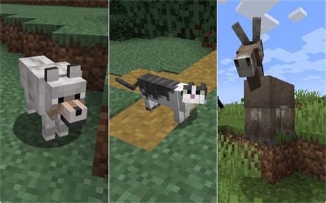 List of every friendly Minecraft mob in 2022