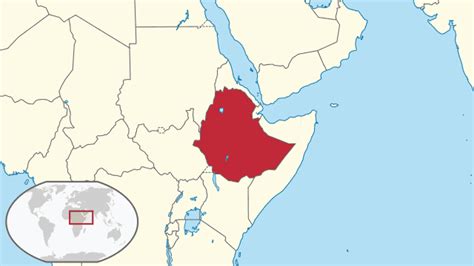 List of moths of Ethiopia - Wikipedia