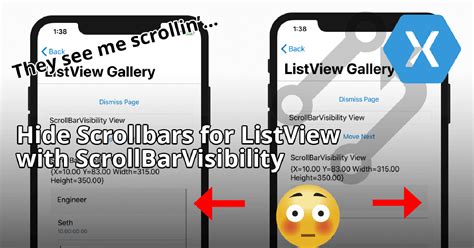 ListView - How to hide the scroll bars ? - cppbuilder