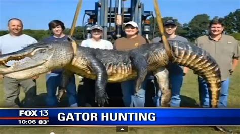 300-<strong>pound gator caught near downtown Augusta</strong>. . Listalligator