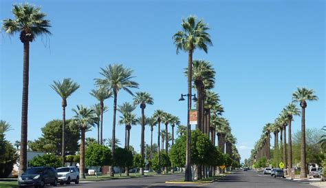 Litchfield park arizona. Things To Know About Litchfield park arizona. 
