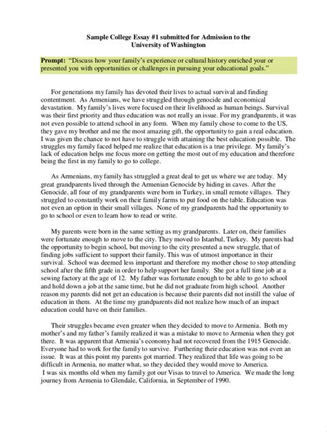 Literature and Society essay Essay — Free college essays