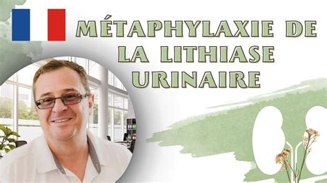 Lithiase urinaire - Docteur Synapse - YouTube